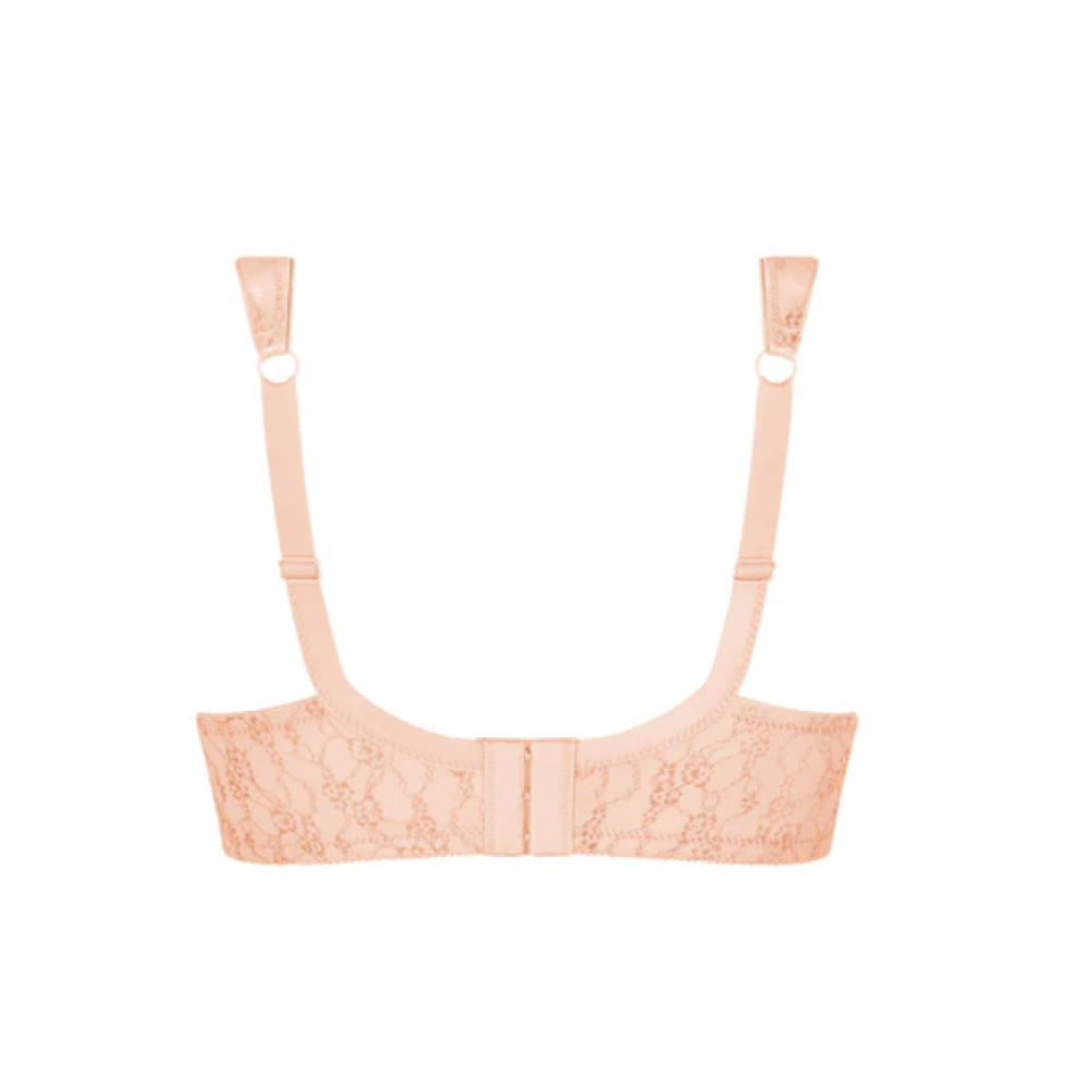 Captura de ecrã 2024-07-15 111441